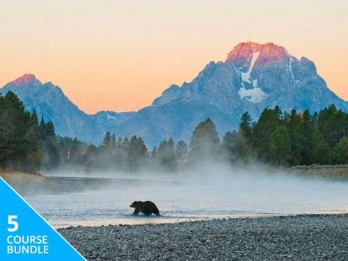 Learn how to photograph landscapes and wildlife with this $29 bundle Learn how to photograph landscapes and wildlife with this $29 bundle