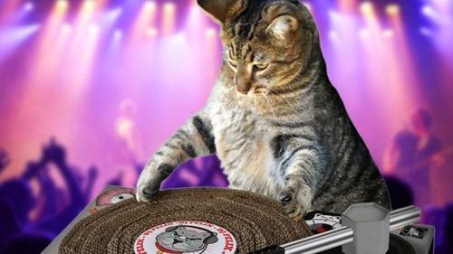 Amazon Prime Day evolves from goofy sideshow to Black Friday-esque phenom