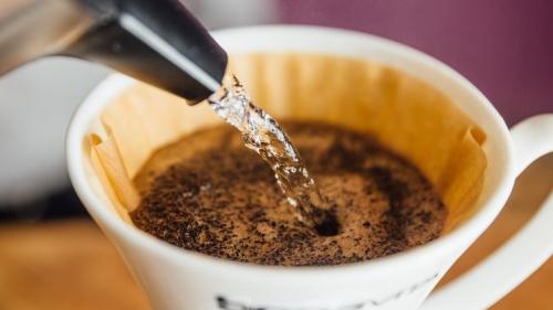 The best coffee makers for 2019: Bonavita, Ninja, Oxo, Moccamaster and more