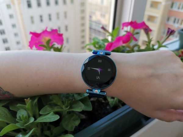 Встречают по одёжке. Smarterra Vega